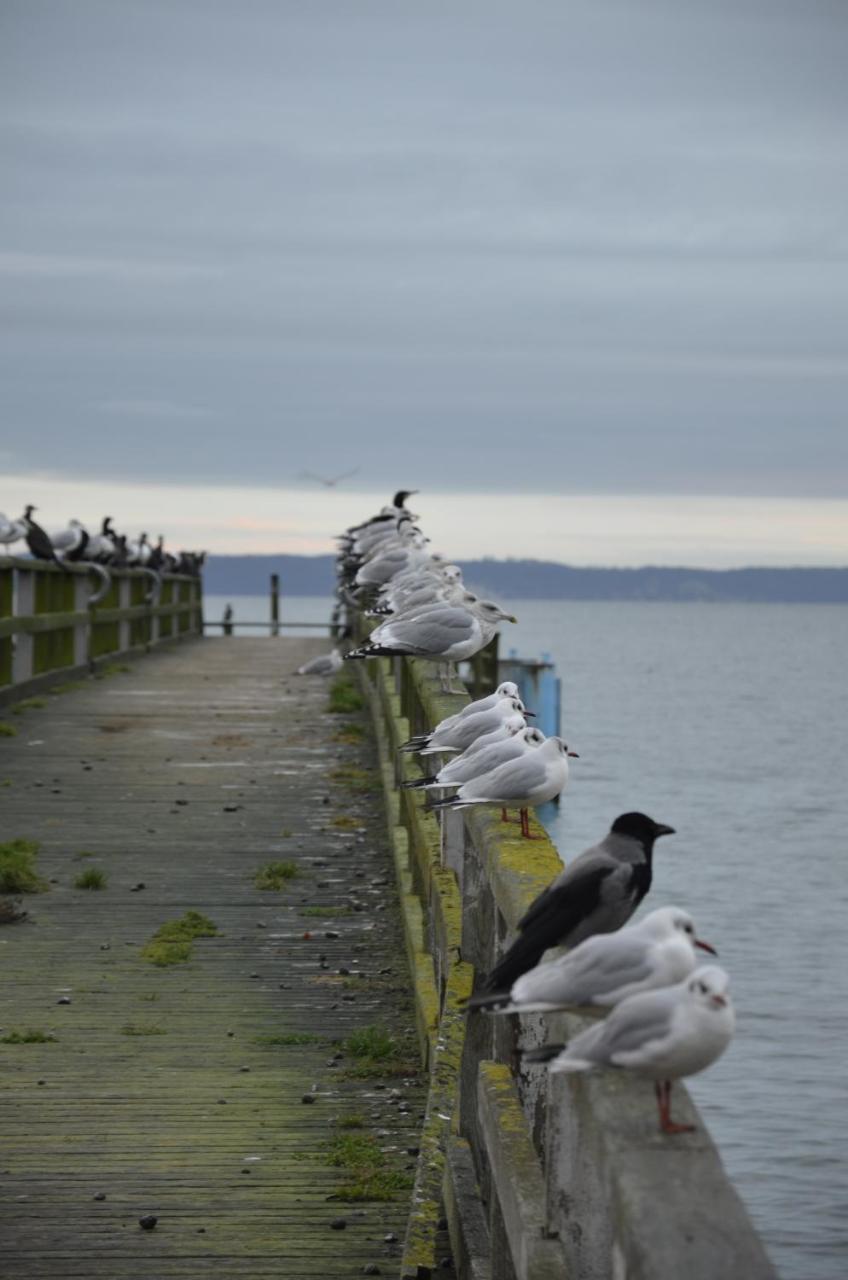 Fewo Meerestraum Sassnitz Esterno foto